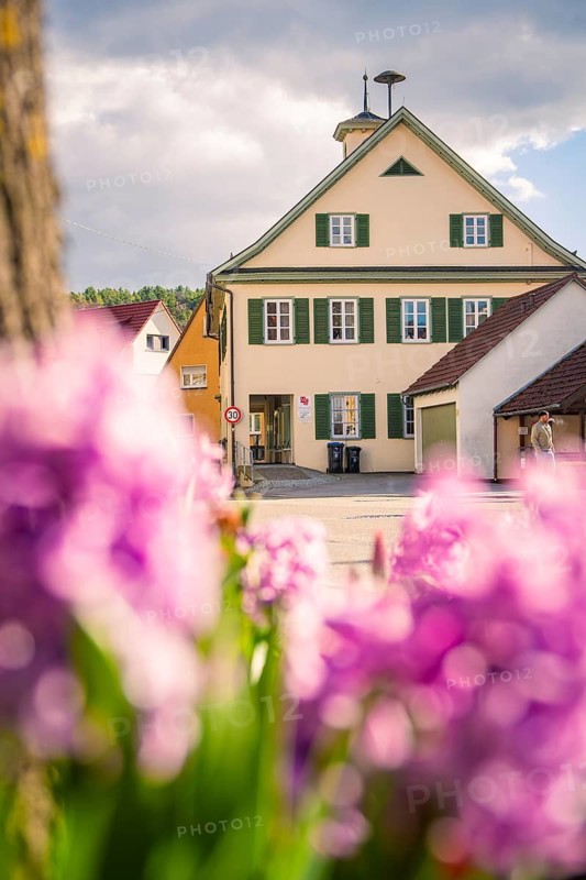 A house with green shutters surrounded by purple flowers, under a cloudy sky, Deufringen, Aidlingen, Böblingen district, Germany