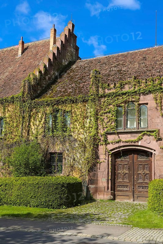 Dotternhausen Castle, Cotta's Castle, Dotternhausen Castle, historic building, aristocratic residence, architecture, ornate wooden door, entrance front door, overgrown façade, green façade, climbing plants, Dotternhausen, Zollernalbkreis, Baden-Württemberg, Germany