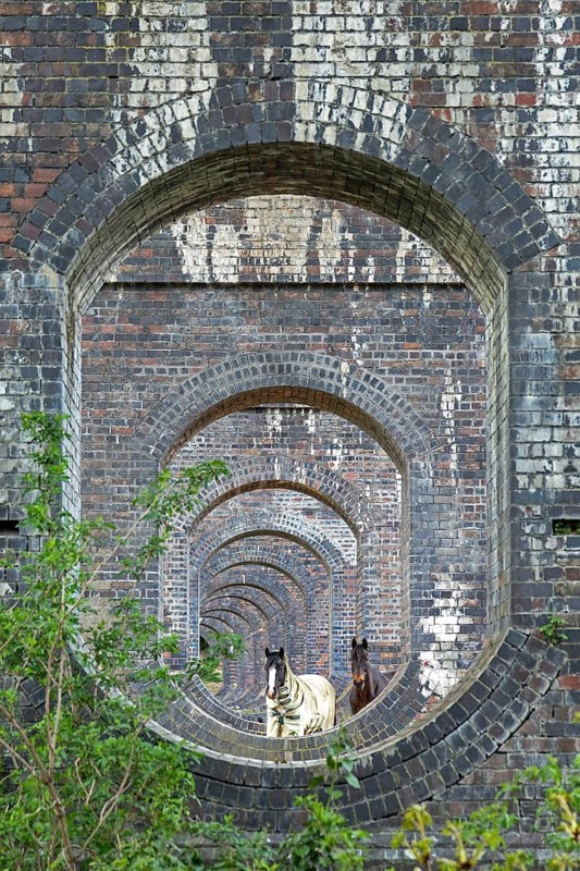 View through openings in piers of a railway viaduct, horses, Stanway, Broadway, The Cotswolds, England, Great Britain