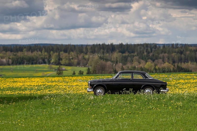 Vintage car standing on a dirt road, spring meadow, Black Forest, black Volvo Amazon, middle class car from Swedish car manufacturer Volvo, built in 1968