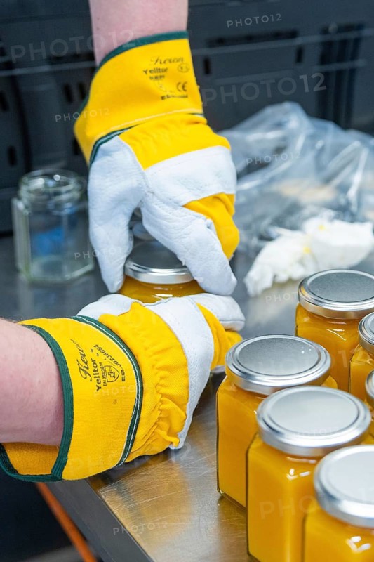 Person in yellow gloves filling orange contents into jars, jam production, Haselstaller Hof, Wildberg Gültlingen, district of Calw, Black Forest, Germany