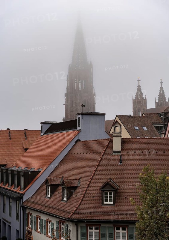 Fog, City, Freiburg im Breisgau, Germany
