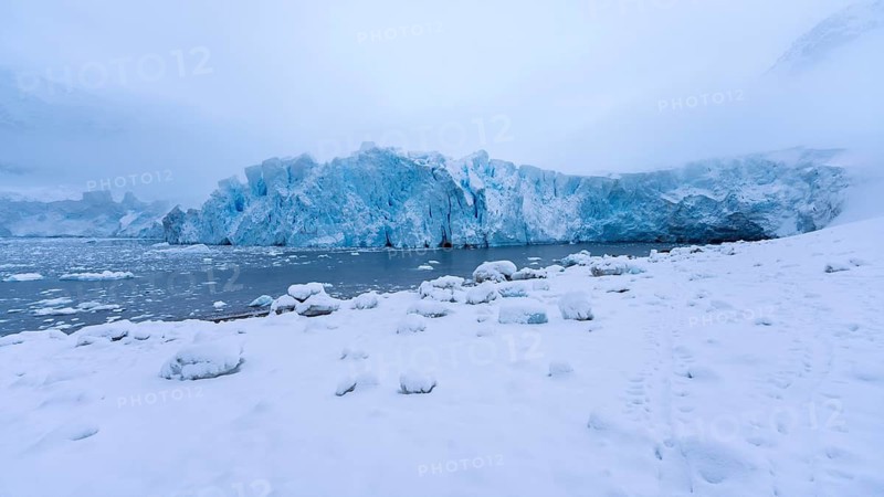Glacier eruption with blue ice, bay with drift ice and snow-covered shore with footprints in fog, Andvord Bay, Antarctic Peninsula, Antarctic