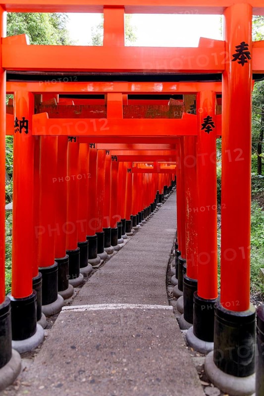 A mesmerizing pathway through the iconic vermilion torii gates at Fushimi Inari-taisha, Kyoto, Japan, showcasing traditional Shinto architecture in a serene natural setting