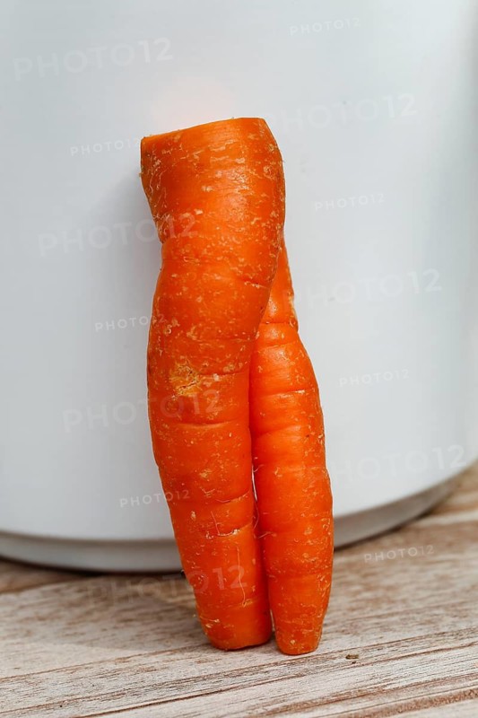 Carrot (Daucus carota subsp. sativus), funny carrot in the shape of trousers, carrot trousers, carrot turnip, yellow turnip, yellow turnip, carrot root, root is leaning against a white pot, vegetable, humour, Germany