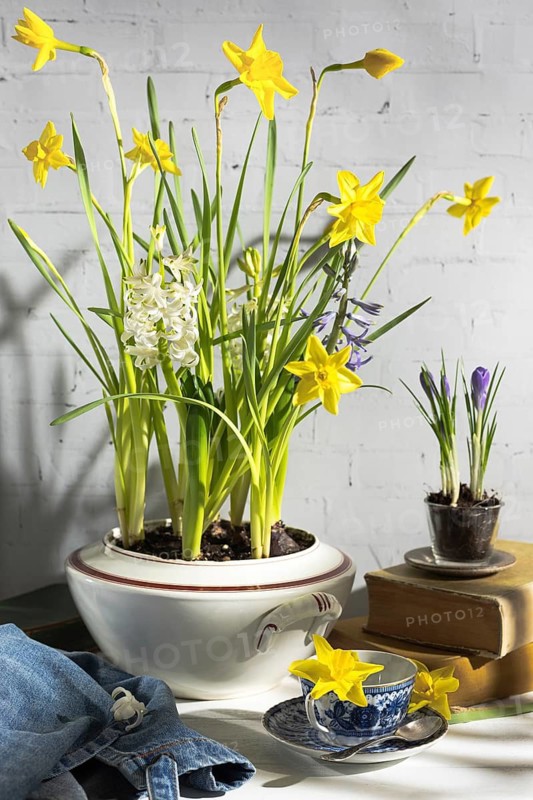 A charming arrangement of spring flowers blooming in a vintage soup tureen, set against a white brick backdrop with rustic decor elements
