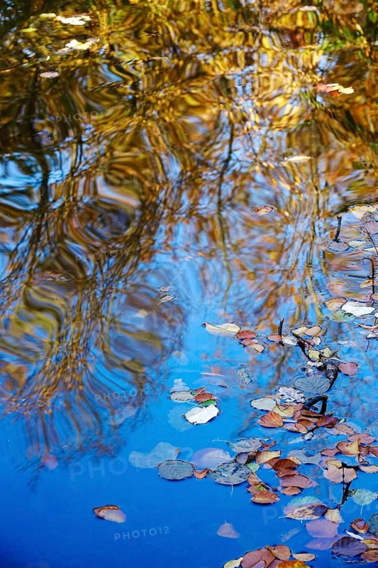 Reflection and autumn leaves, Autumn time, October, Germany