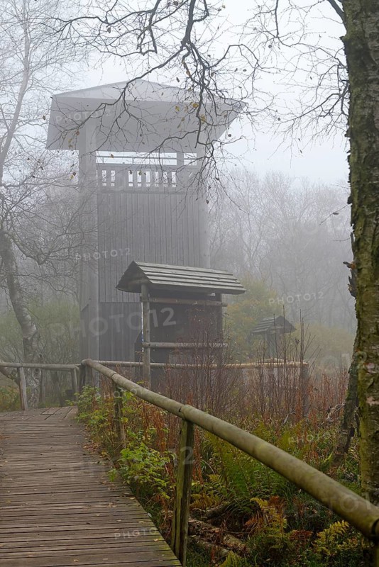 Fog, Bohlenweg observation tower in the Rotes Moor nature reserve, Hessian Rhön, Hesse, Germany