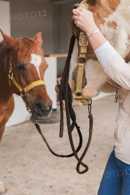 A woman gently takes care of two horses on a farm, showcasing her interaction with these majestic animals. The scene captures a serene farm day with mutual trust