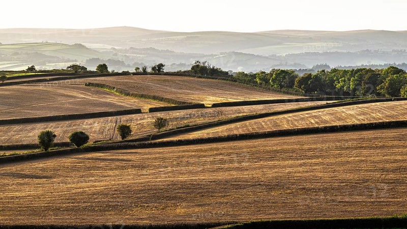 Colours of Devon Farms and Fields over Paignton and Berry Pomeroy, Totnes, England, United Kingdom
