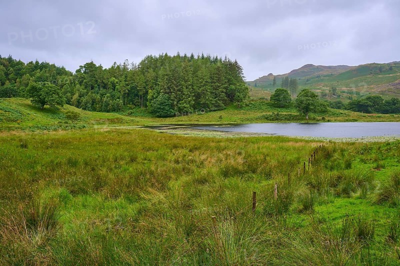 View of a lake surrounded by trees and green fields under a cloudy sky, Loch Awe, Scotland, United Kingdom, Great Britain