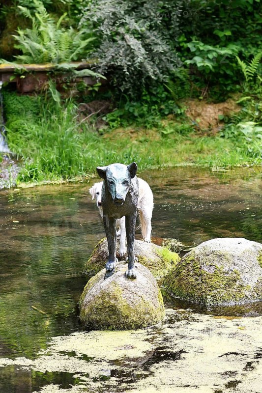 Heidelberg, Germany - June 8th 2024: Dog imitating wolf sculpture at historic well called 'Wolfsbrunnen' in Heidelberg-Schlierbach