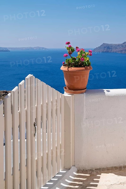 White wall with white Tor tor and flower pot with geraniums, view into the caldera, Oia, Santorini, Cyclades, Greece