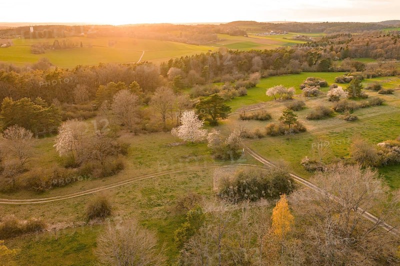 Fields and forests stretch out in a warm evening light, e-bike tour, old sports field in Gechingen, Hecken and Gäu region, Calw district, Germany