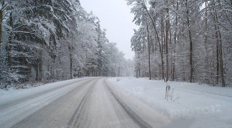 Wintery forest with snowy road, Erlangen, Middle Franconia, Bavaria, Germany