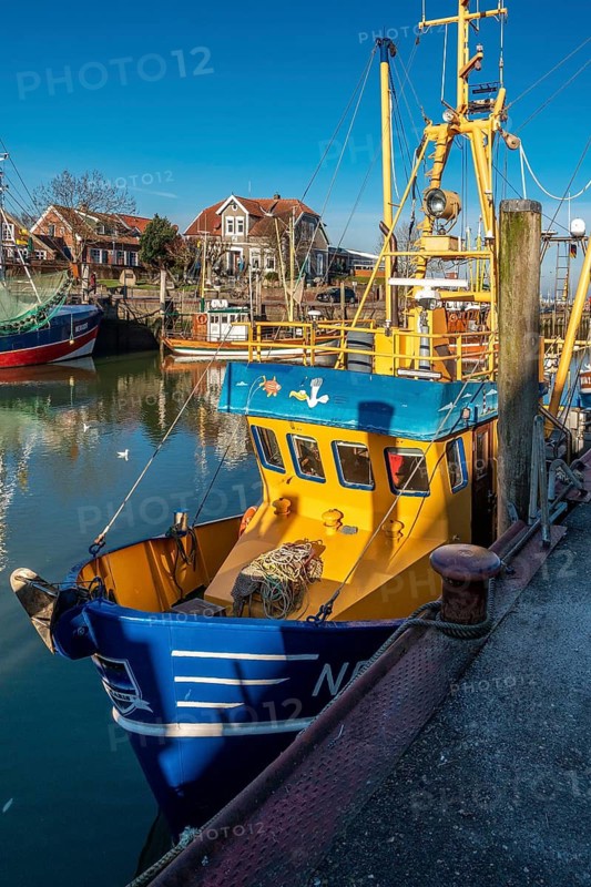 The harbour of Neuharlingersiel, East Frisia, Lower Saxony, fishing boats, fishing boats