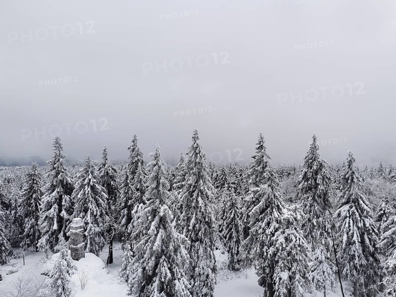Towering snow-covered trees under a grey winter sky, view from the Asenturm on Ochsenkopf, Fichtelgebirge nature park Park