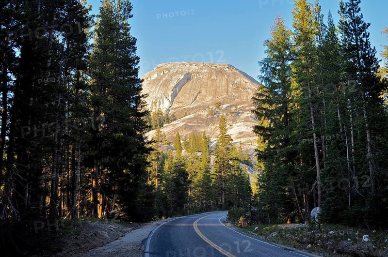 Winding road leads through a dark forest with a mountain in the background, illuminated by warm light, Yosemite National Park, California, USA