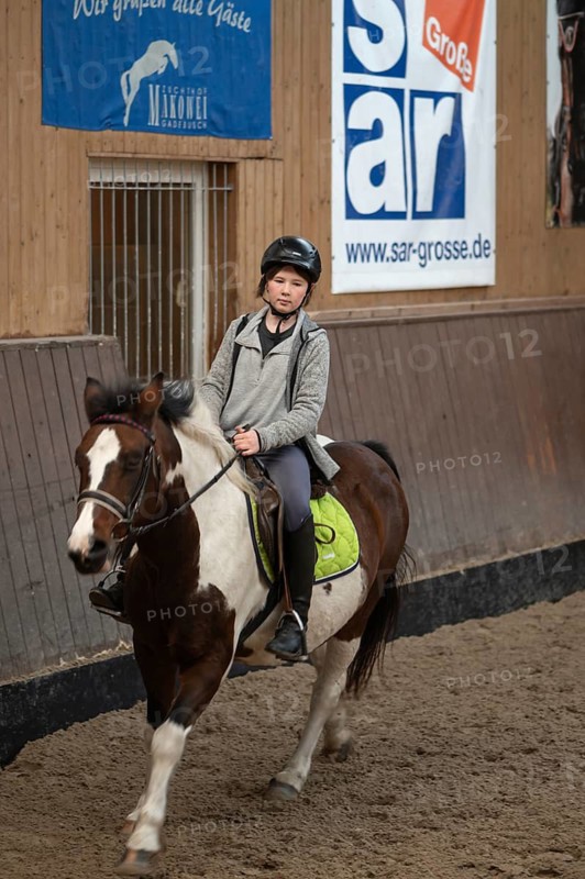 Little girl, 10 years old, on a horse in an indoor riding arena, Mecklenburg-Vorpommern, Germany