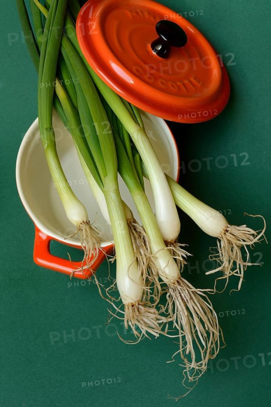 Spring onions in pots, onion