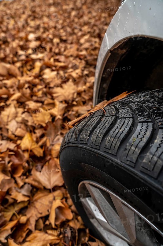Driving on autumn leaves, slippery surfaces, leaves, grip from winter tyres