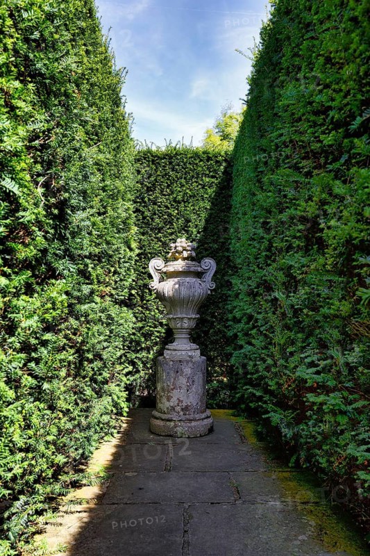 Gallery between two hedges, yew (Taxus baccata), topiary, topiary, light and shade, Sissinghurst Castle and Garden, Cranbrook, Kent, England, Great Britain