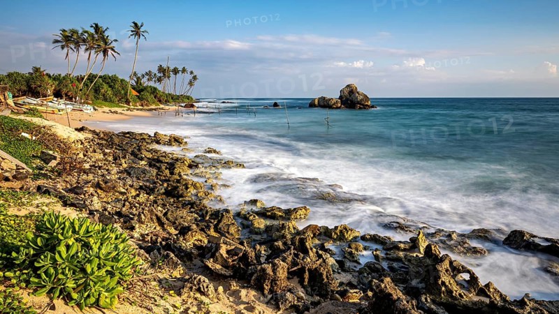 Rocky coast with palm trees and blue sea under a clear sky, The stilt fishermen's beach near Koggala in Sri Lanka