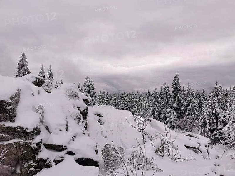 Snowy rocky landscape with trees under grey skies, conveys a cold natural scene, hiking in the Fichtelgebirge nature park Park