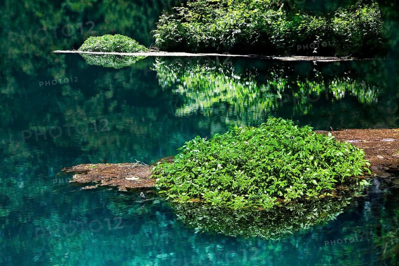 The Rhume Spring with blue-green colouration, source of River Rhume, large karst spring, Harz mountains region, Rotenberg ridge, near Rhumspringe, Germany