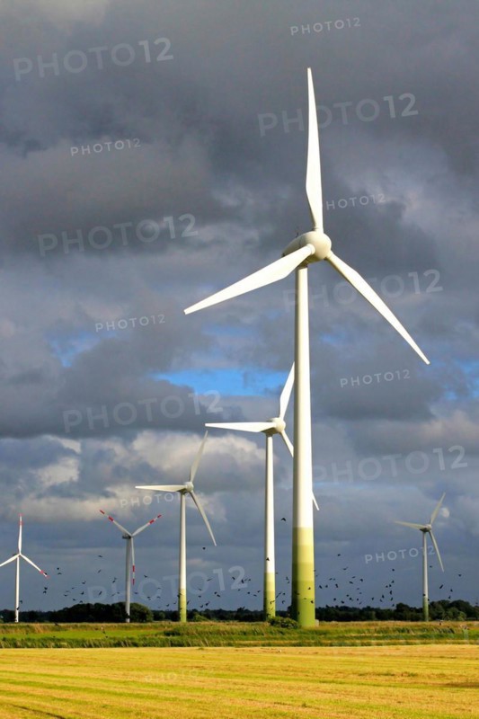 Wind turbines in front of a stormy sky in a rape field, East Frisia, Lower Saxony, Federal Republic of Germany, Wind farm, East Frisia, Lower Saxony, Federal Republic of Germany