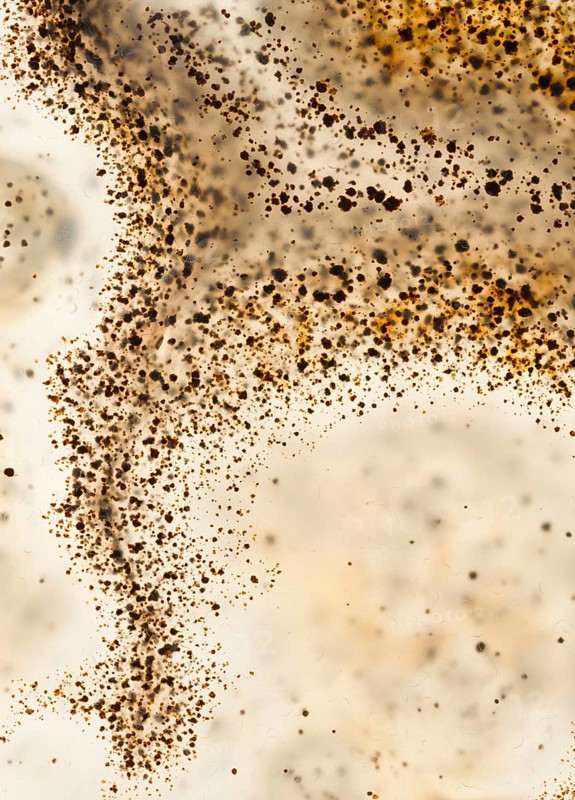 Detailed macro image of a Montana agate, highlighting its distinctive brown and black dendritic inclusions suspended in translucent cream and white tones, showcasing natural patterns