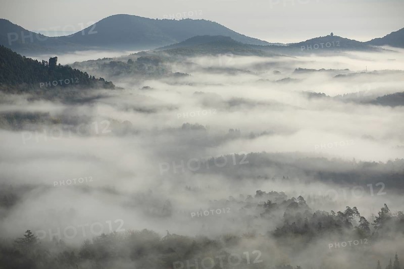 Foggy landscape with mountains and clouds of fog after sunrise, nature photography, twilight, monochrome, black and white, Wegelnburg, Dahner Felsenland, Rhineland-Palatinate, Germany