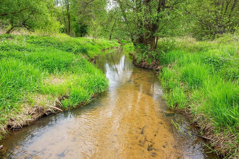 Lanscape of a little stream flowing through the forest in spring on a rainy day, Bavaria, Germany