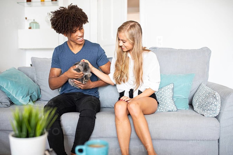 A joyful couple sitting on a cozy sofa, sharing a moment with their adorable pet rabbit. The setting exudes warmth and companionship, enhanced by soft cushions