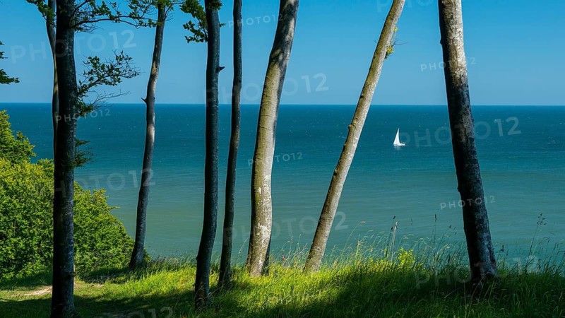 View of the Baltic Sea from the chalk cliffs in Jasmund National Park on Rügen with a sailboat, Sassnitz, Rügen, Mecklenburg-Western Pomerania, Germany