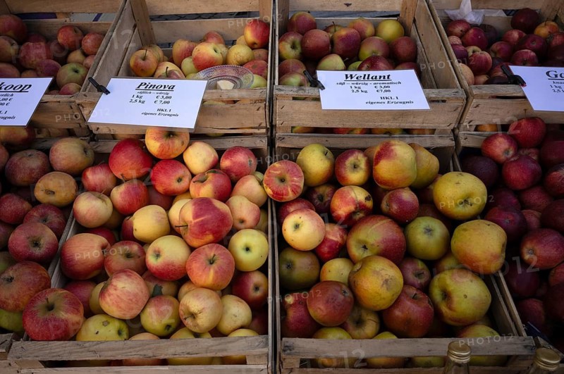 Range of different types of apples, Pinova, Wellant, apples, apple boxes, fruit, weekly market market, market, Stuttgart, Baden-Württemberg, Germany