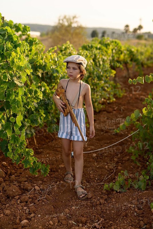 A young boy, dressed in shorts and cap, holds a toy rifle while walking through a sunny vineyard. The warm golden hour lighting adds to the serene summer ambiance