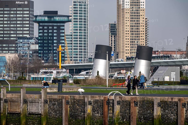 Rijnhaven bridge, Kop van Zuid, Wilhelminapier, Holland Amerikaplein, skyscrapers on the Nieuwe Maas, skyline of the city center, Rijnhaven harbor basin, Rotterdam, Netherlands