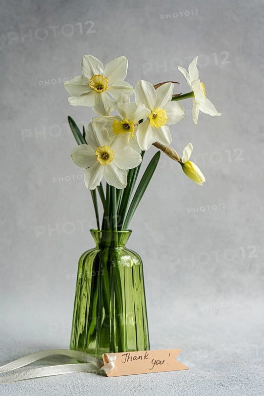 A delicate arrangement of white daffodils displayed in a translucent green vase, accompanied by a Thank you note, set against a soft grey backdrop