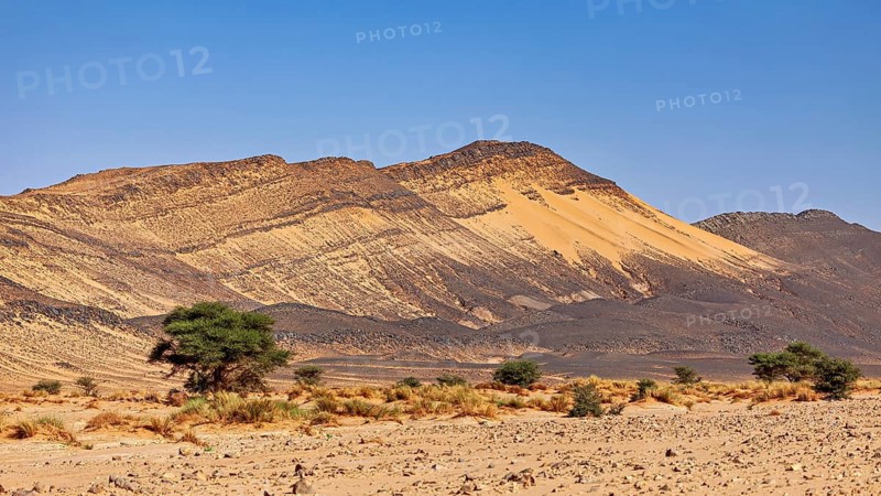 A dry desert landscape with sand hills and rocks under a clear sky, The desert landscape of the Sahara in Algeria