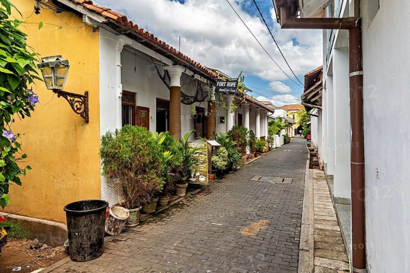 Narrow alley with colorful houses and numerous plants that create a peaceful atmosphere, The historic city center of Galle in Sri Lanka