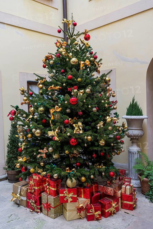 Christmas tree, presents, Christmas, Christianity, Christian customs, Prague, Czech Republic