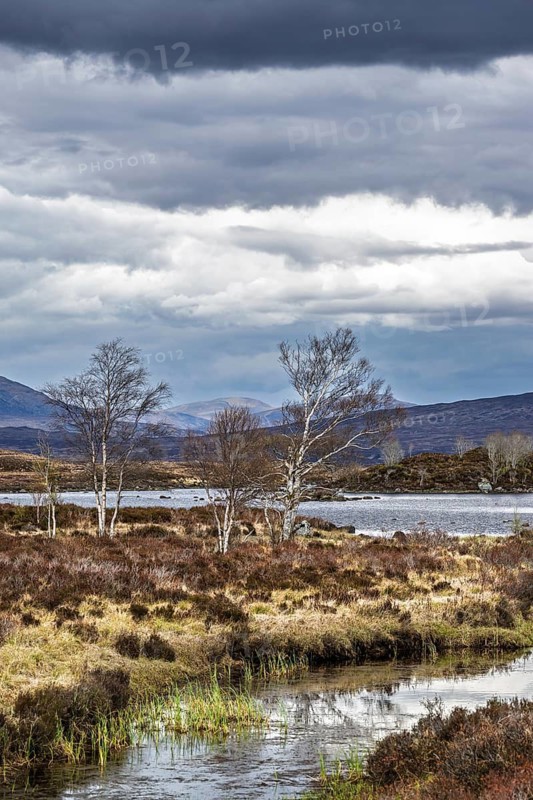 Rannoch Moor over Loch Ba and Loch of the Armpit, A82 Highland Way, Argyll and Bute, West Highlands, Scotland, United Kingdom