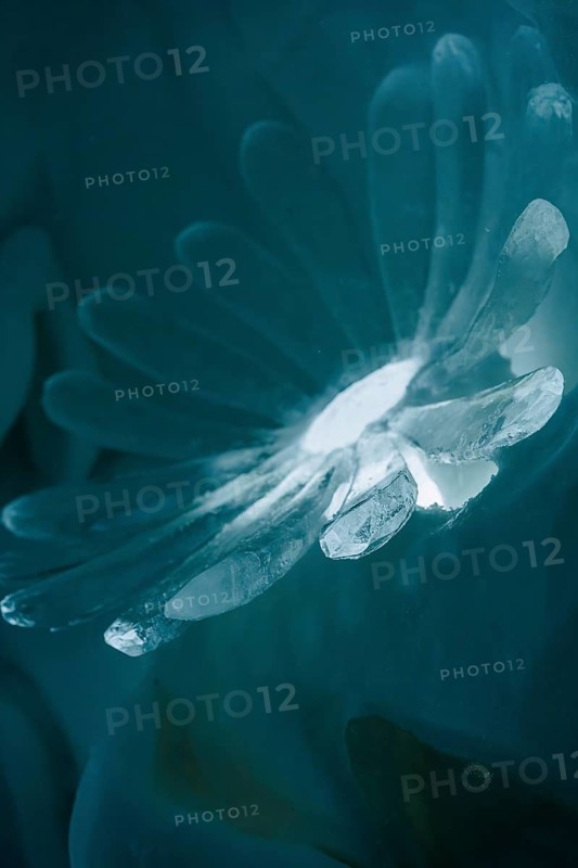 Close-up of a beautifully carved ice sculpture from a temporary ice hotel in Swedish Lapland. The intricate icy patterns display a delicate, translucent artistry