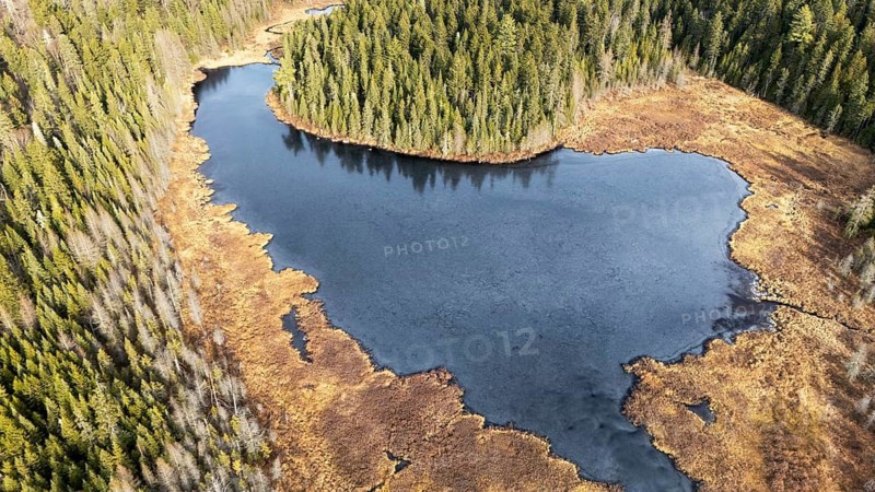 Lake in a swamp area. Region of La Mauricie. Province of Quebec. Canada