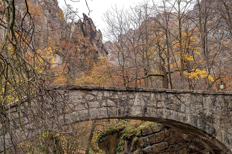 Bridge in the Bode Valley in the Harz Mountains near Thale, Saxony-Anhalt, Germany