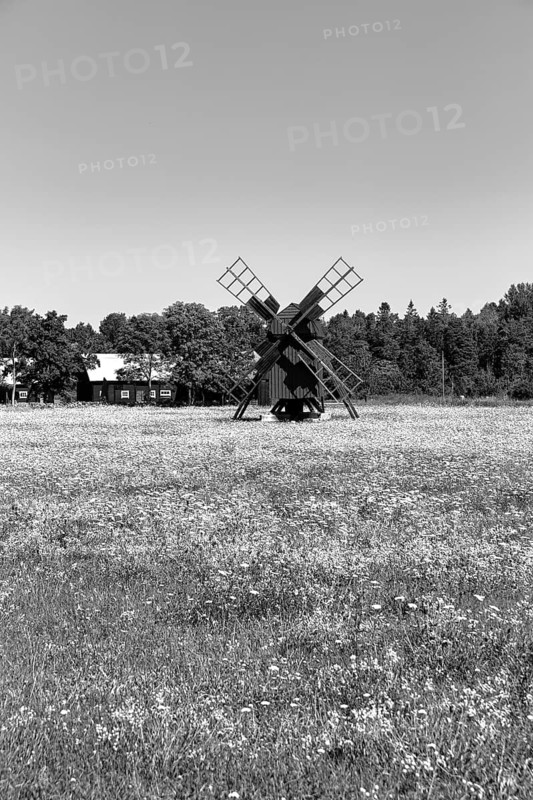 Windmill in a blooming meadow on the edge of a village, monochrome, Hunderum, Öland island, Kalmar län, Sweden