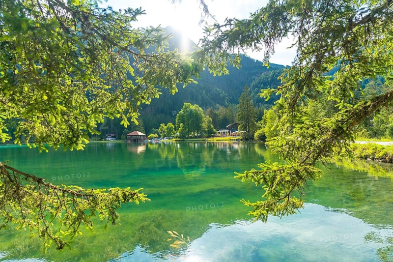 Sunlight filtering through pine branches illuminates the clear waters of lake dobbiaco, nestled amidst the stunning dolomites landscape