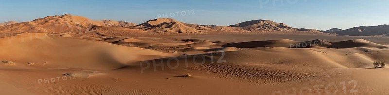 Sand dunes in the Rhub al Khali desert, empty quarter, largest sandy desert in the world, Oman