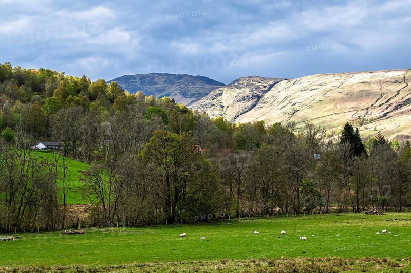 Farm and mountains, Loch Earn, Southern Highlands, Scotland, United Kingdom
